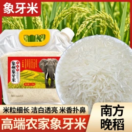 大米