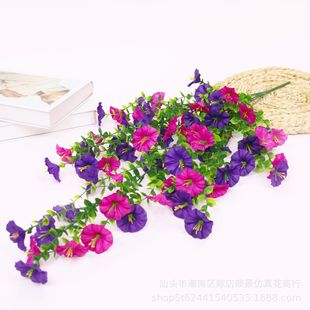Cross-Border Amazon Artificial Morning Glory Wall Hanging Decoration Wedding Outdoor Ceiling Eucalyptus Hanging Silk Flower Morning Glory