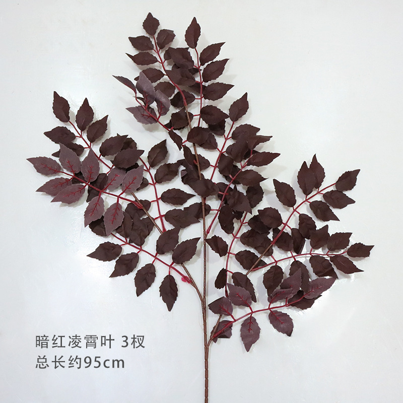 진한 빨간색 링샤오 잎