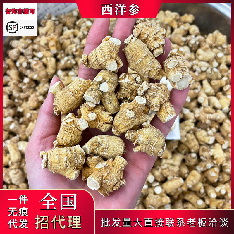 加拿大西洋参粒头  5g/10g美国花旗参原枞白肉老皮可代切片打粉