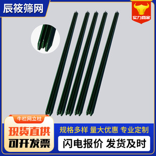 �����F���������F�z�W���ڗUY���T�F���^�� ���m������K��ţ����