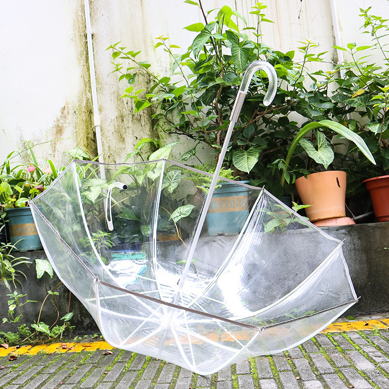 Transparent Umbrella for Women, Small Arched Apollo Ultra-Light Wind-Resistant Long-Handle Umbrella, Reinforced Bubble Umbrella, Windproof Creative Umbrella