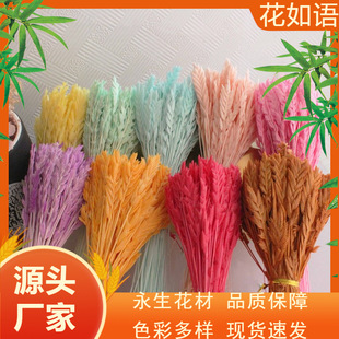 [��������] �M�ڻ��ı��� �������r��DIY�Y�в����ֲ��� ܛ�b�廨