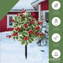 ���l���R�d�}�Q�t���ز�羳�}�Q��ͥԺ����b��辰��ط���Gֲ