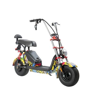 Elektrikli motosikletlər Electric Vehicles, Electric Motorcycles, Adult