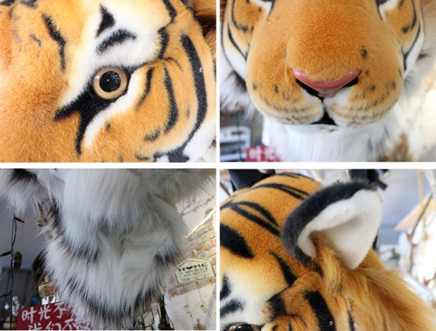 3680daa9069c34274edd192c8d8156