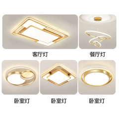 Minimalist Modern Living Room LED Ceiling Lamp, Grand Nordic Style Home Use Bedroom Room Lamp Home Decor Lighting Set