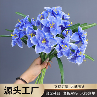 ˮ�ɻ����滨�ٻ�С���»����͏d�����[�O��c�b�ˇ�[��ins�L