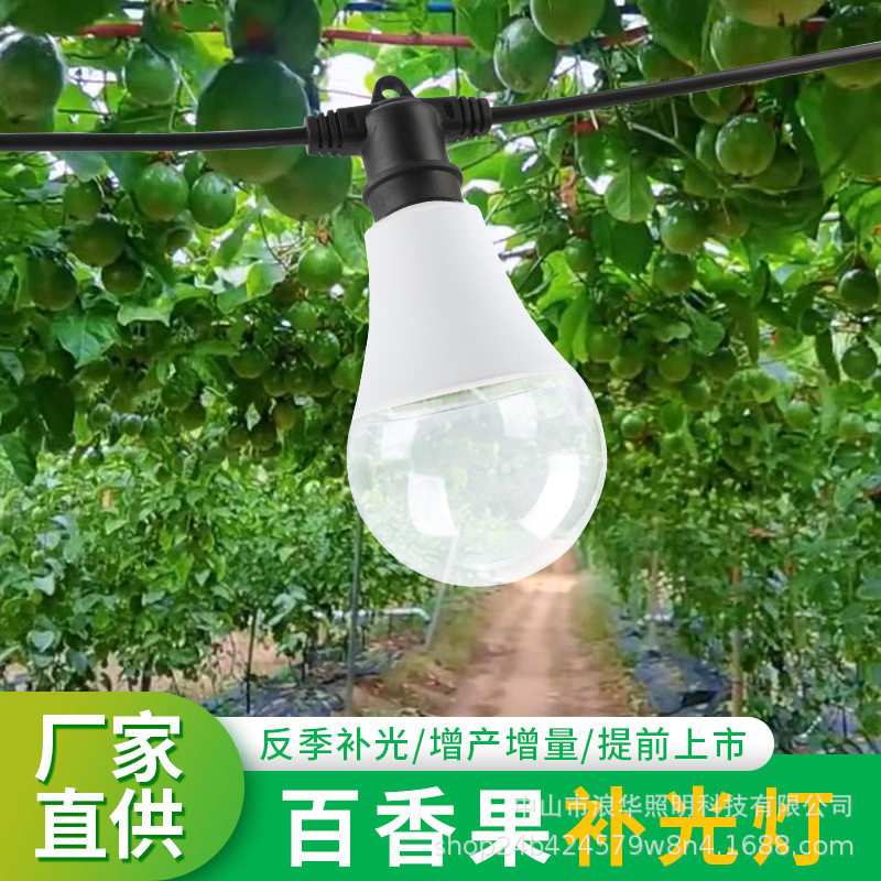 Full Spectrum Plant Fill Light A60 Passion Fruit Dragon Fruit Planting Growth Light Outdoor Waterproof Plant Bulb Light Full Spectrum Plant Fill Light A60 Passion Fruit Dragon Fruit Planting Growth Light Outdoor Waterproof Plant Bulb Light