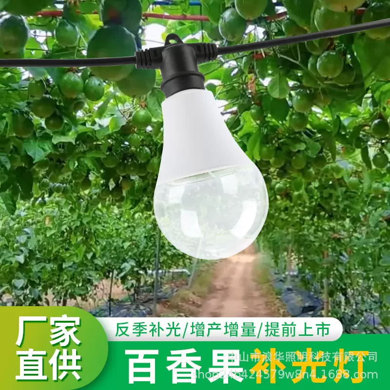全光谱植物补光灯a60百香果火龙果种植生长灯户外防水植物球泡灯