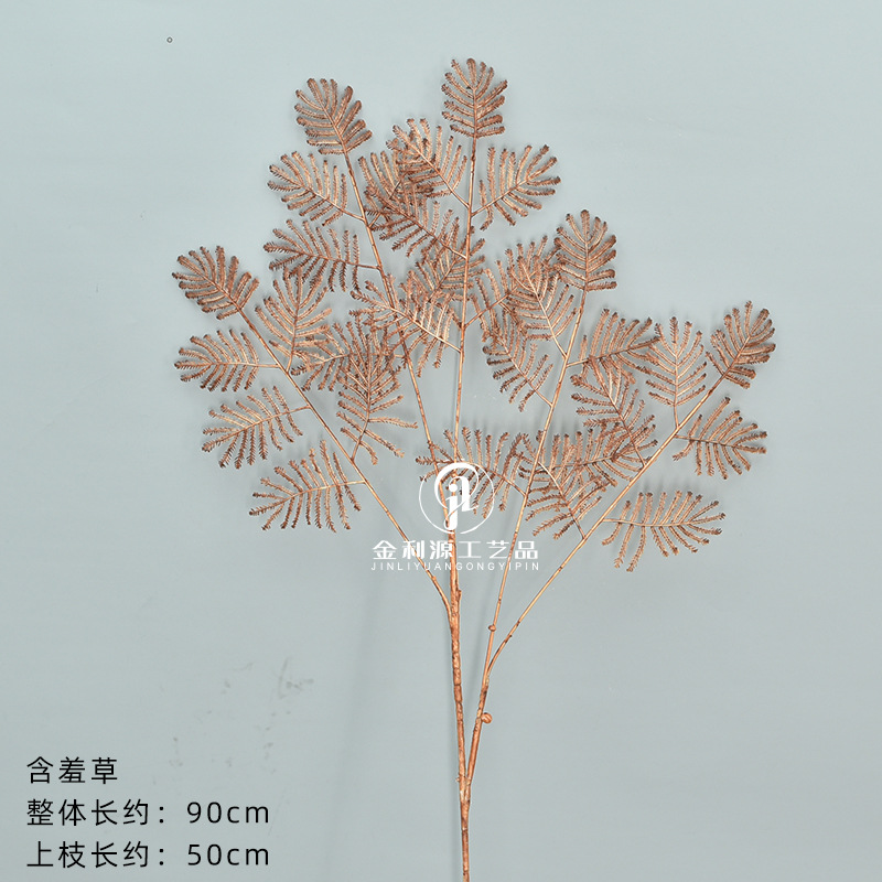하나의 미모사 다크 브라운