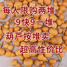 ������J�[������ְѼ��ֶ�覴��Ӯ����Λρ����ͥ�ˌ��N������