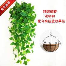 绿萝植物假绿叶吊兰装饰壁挂藤条叶子塑料室内吊篮挂墙假花藤源头