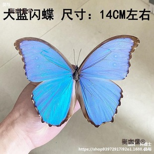 ������˱�չ��̾��P���P���������x�׃��@�{�W�����ý̌W��̫��