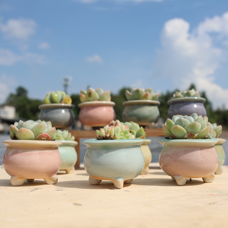 One dish cross-border special for ceramic fleshy flowerpot three-legged belly pot plant pot special home office gardening wholesale