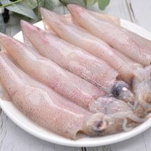 新鲜野生笔管鱼海兔鲜活海兔灯光小鱿鱼一口鱿鱼生鲜冷冻顺丰包邮