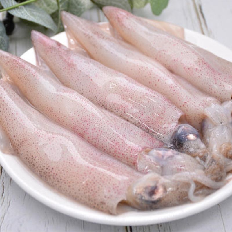 新鲜野生笔管鱼海兔鲜活海兔灯光小鱿鱼一口鱿鱼生鲜冷冻顺丰包邮