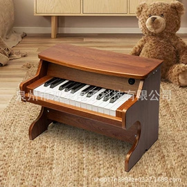 键盘类乐器;乐器配件;其他乐器