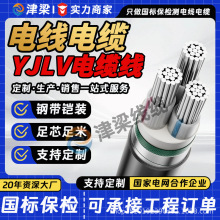 厂家直销YJLV铠装低压电缆线3芯6平方电线国标铝芯三相架空电源线
