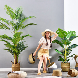 ���ͱ��W�L����ֲ��������˽��辰�҃��b����ϾW�t�Gֲ�[�Ż�ˇ