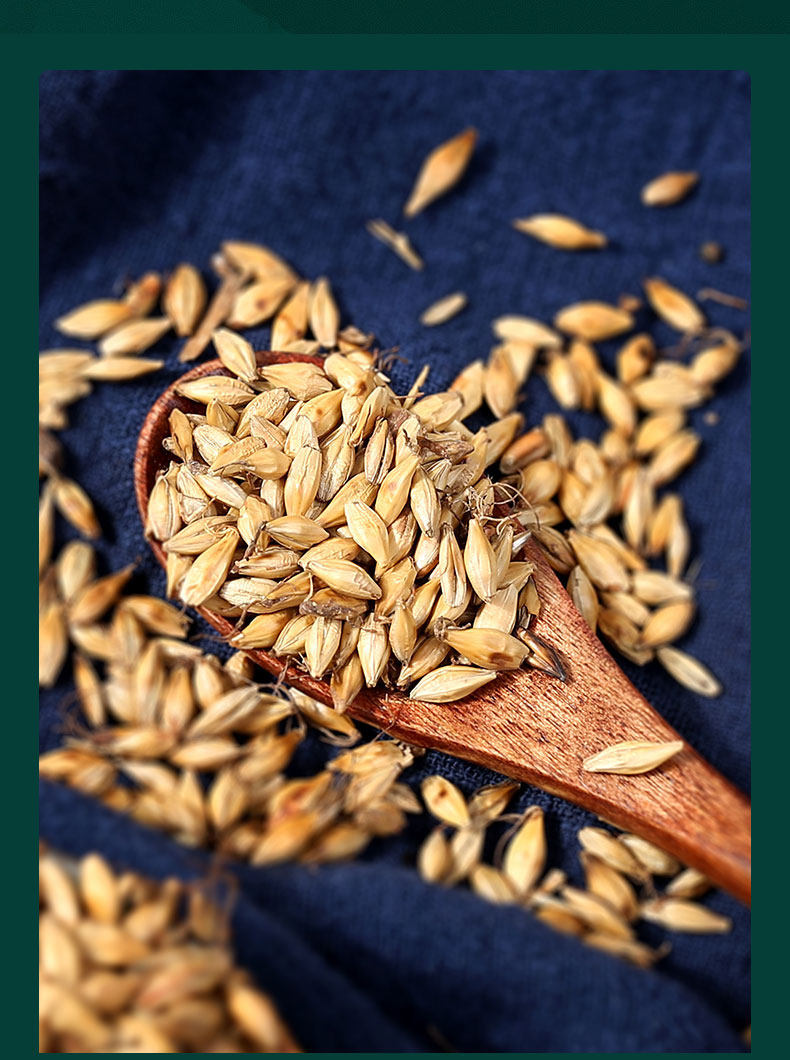Fried Malt Germinated Barley Sprout Mai Ya 500g Dried Herb for Tea and Decoction in use