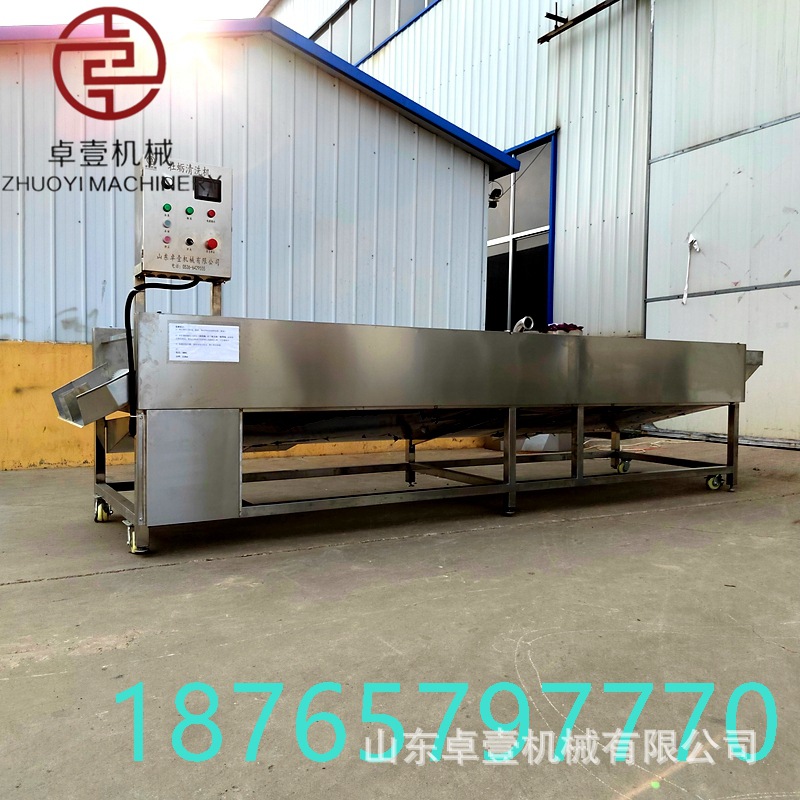 大姜商用毛辊清洗机 山药土豆清洗机全自动洋芋田螺猪头萝卜马蹄