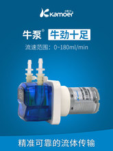 �䶯��΢�ͱ� 12v�õ綯С��ʵ��������������ѭ����������