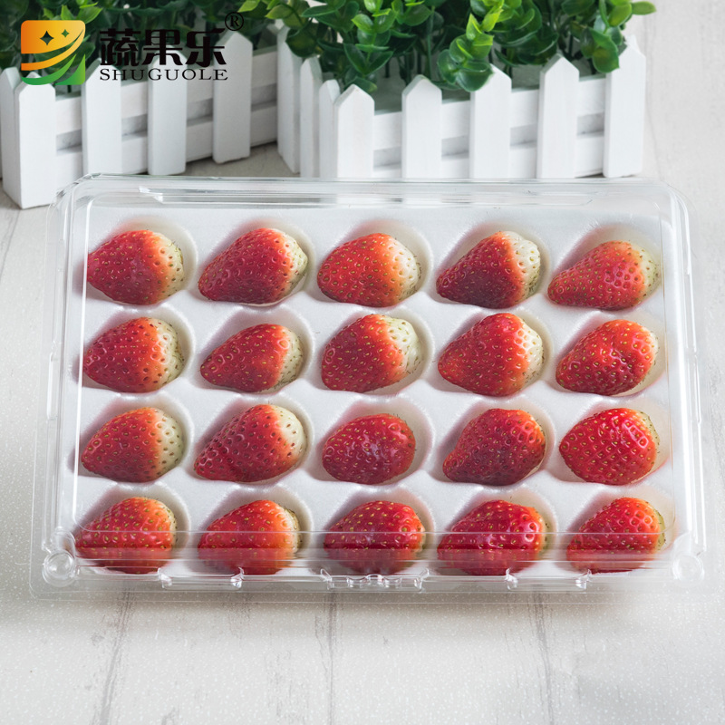 蔬果乐CM1500一次性透明草莓盒带内托12粒15粒20粒装包装打包盒