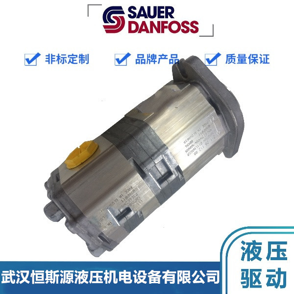 丹佛斯齿轮泵SNP2NN/022RN06SAP1E6E5NNBN/NNNNN