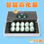 养殖孵化家用智能小鸡