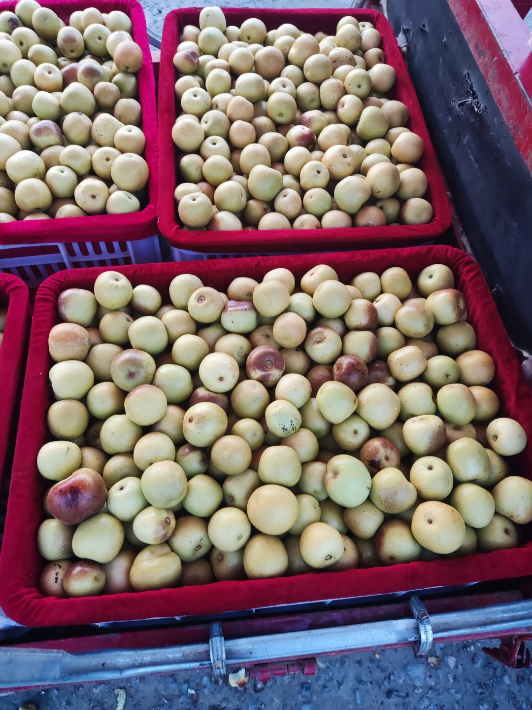 762c7cc0-ca3f-442f-a2d6-7c676a