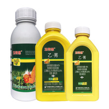 ���������ݬ��������ǰ���݄�40%�Ҳݰ�ݬȥ�� �Ҳݰ���݄���ݬ