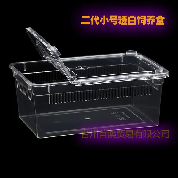 Second-generation spider lizard snake silkworm snail guard palace crawling pet feeding box insect scorpion turtle crawling box horned frog feeding