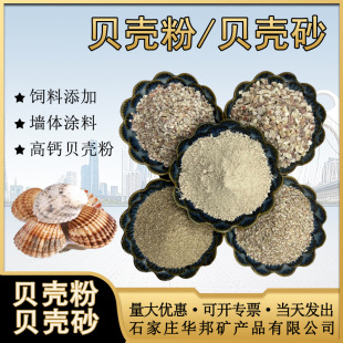 Calcined Shell Powder 1250 Mesh White Shell Powder Livestock Feed High Calcium Shell Powder Wall Paint Shell Powder
