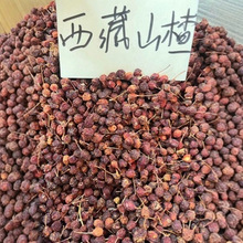 正宗新货西藏波密山楂干果特级无硫晒干山楂消食泡水喝500g
