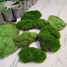 ̦�\���l��̦��ƺֲ�qʯ�^��̦�K�ٽz��ƺ�b�ܛ�b�OӋ�쾰