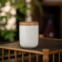 调味陶瓷日式旅行茶叶罐