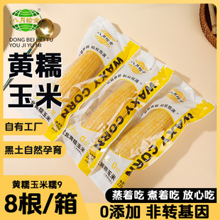 ������ʰ�𡿖|�����r�SŴ����Ŵ��220g*8��հ��b��Ŵ���ʹּZ
