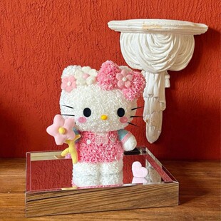 520���˹��Y����Dhellokitty�������滨�P��KT؈�[����Ů���|��