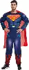 Adult Reunion Superman