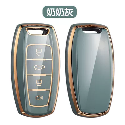 F5 H4 Special Car Key — Car key bag - haval-a-model-4-button-grandma-gray-single-shell