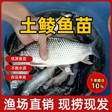 ���N�~�烞�|�N�~�絭ˮ���w�Bֳ���N�~̩�N�~���ʳ���N��С�~��