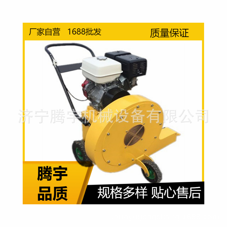 厂家批发手推式路面吹风机 混凝土路面吹风机 背负式马路吹风机
