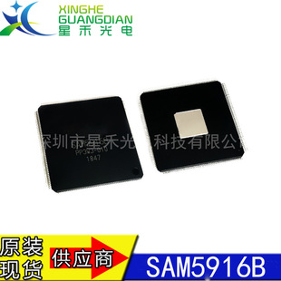 ȫ���M�� SAM5916B SAM5916 ���bTQFP176 ���lDSPоƬ