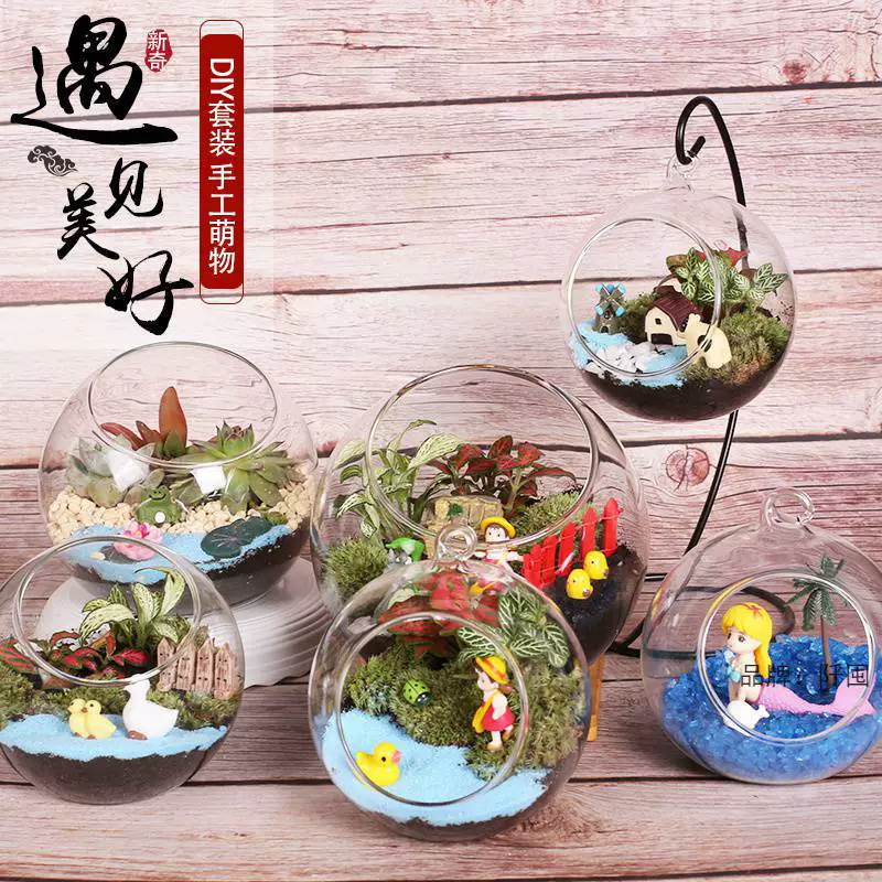[Теплая полевая деятельность] творческий мох микропейзаж экологическая бутылка мясистый горшечный материал для поделок украшения подарочный костюм
