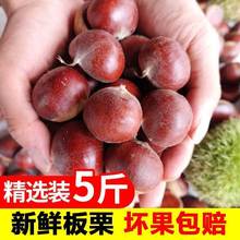 ���������r�r���ӑ�������������ë����5�����F���Ӱ�Ʊ�߲�����