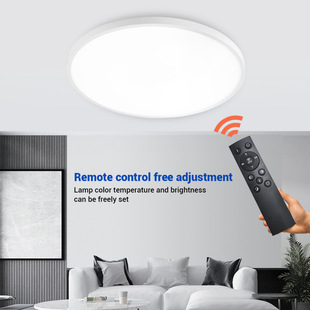 2025 cross-border Amazon new led ceiling spotlights simple eye protection three-proof lights bedroom balcony aisle lights