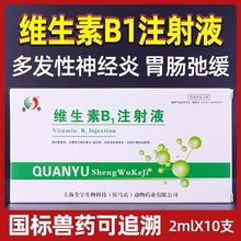 兽药维生素B1注射液兽用猫咪狗猪牛羊开胃消化不良神经炎vb1针