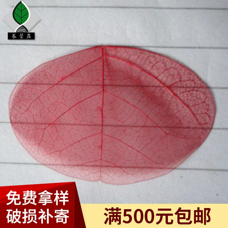 卷叶虫彩色小椭圆形叶脉压花工艺原料 创意彩色手工叶脉压膜书签