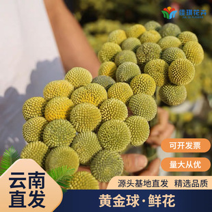 �S�����r�����l����r������ֱ�lDIY�廨�����Ƹɻ������仨���